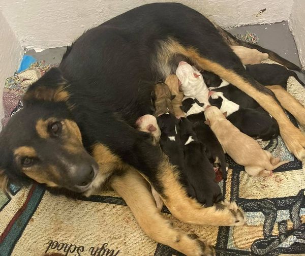 Momma & Littles