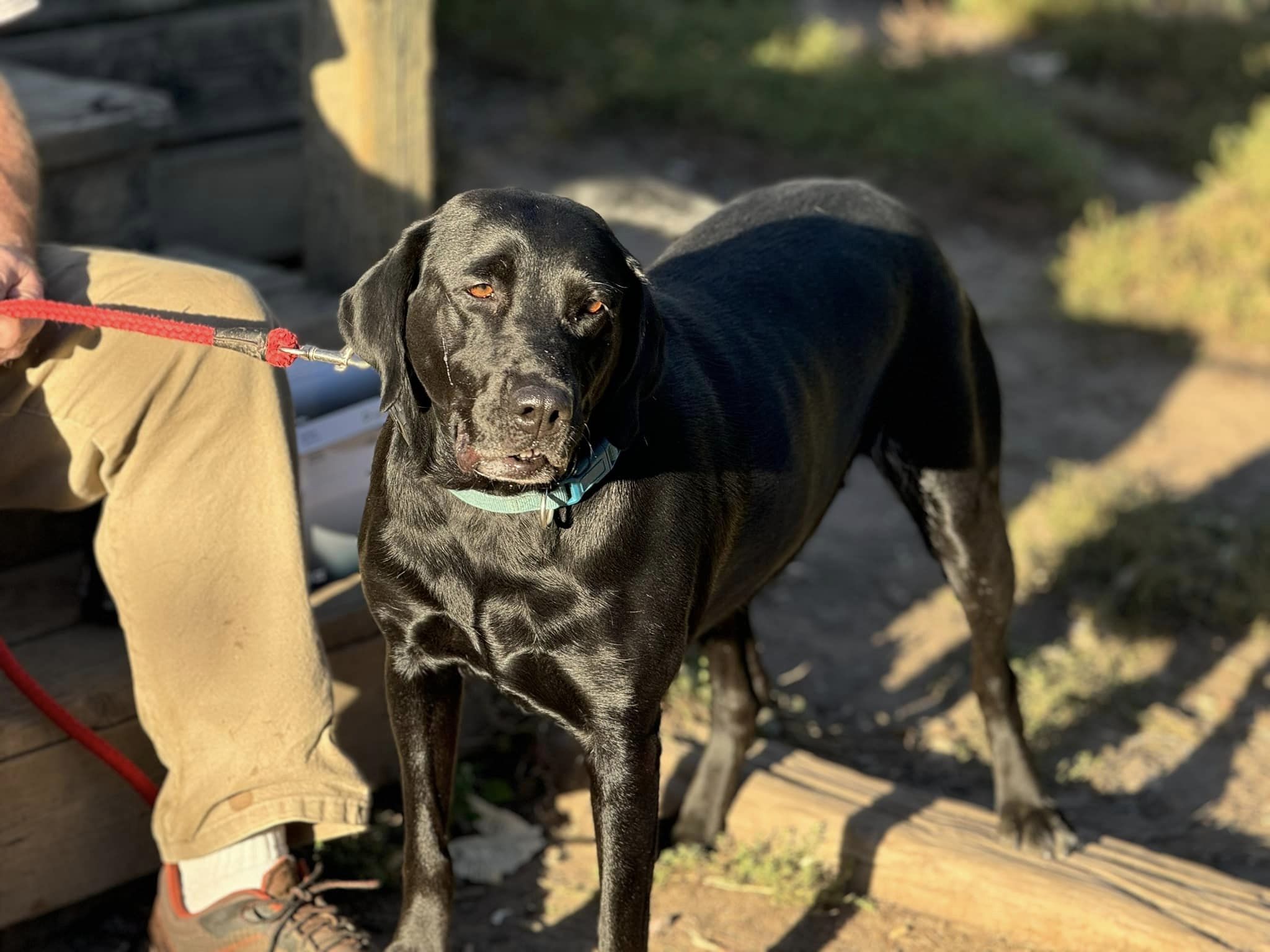 464440998_1141731887828770_116083447171522813_n